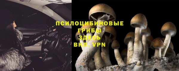PSILOCYBIN Пестово